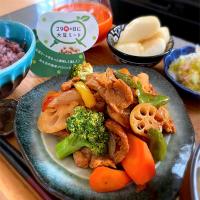 ゆかりさんの料理 大豆のお肉de黒酢炒め🌱